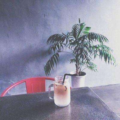 口袋幻兽官方版下载